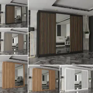 Royal Sliding Mirror Door Wardrobe with LED Lights Modern Storage for Bedrooms and Homes Zak
